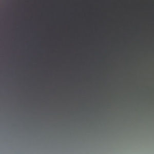 Meet your Posher, Sammy